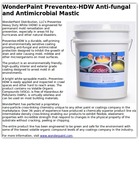 WonderPaint Preventex-HDW Anti-fungal and Antimicrobial Mastic
