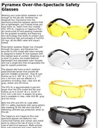 Pyramex Over-the-Spectacle Safety Glasses