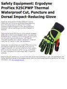 Ergodyne ProFlex 925CPWP Thermal Waterproof Cut, Puncture and Dorsal Impact-Reducing Glove