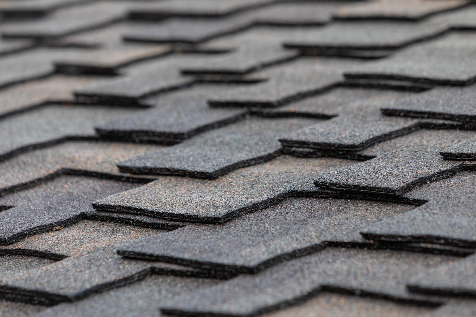 asphalt shingle roof