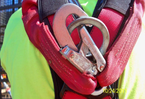 Capital Safety is aware of a reported inadvertent disconnection during use of the locking snaphook used in a series of Y-shaped Protecta lanyards with twin elastic lanyard legs that both attach directly to the eye of the snaphook. 